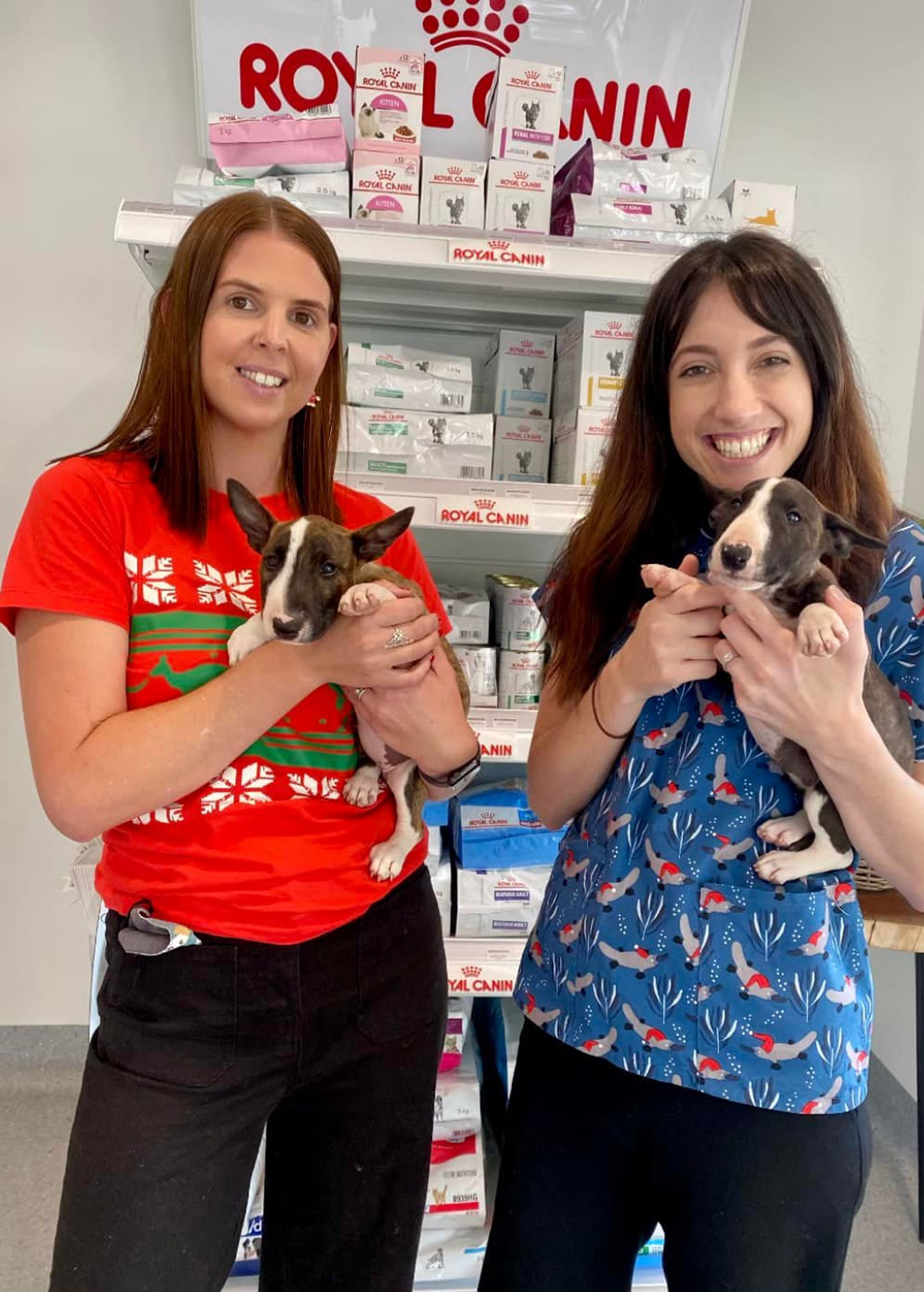 Terranora Vet Clinic - Pet Wellbeing Services - Nutritional Advice Terranora Vet Clinic - Pet Wellbeing Services - Nutritional Advice