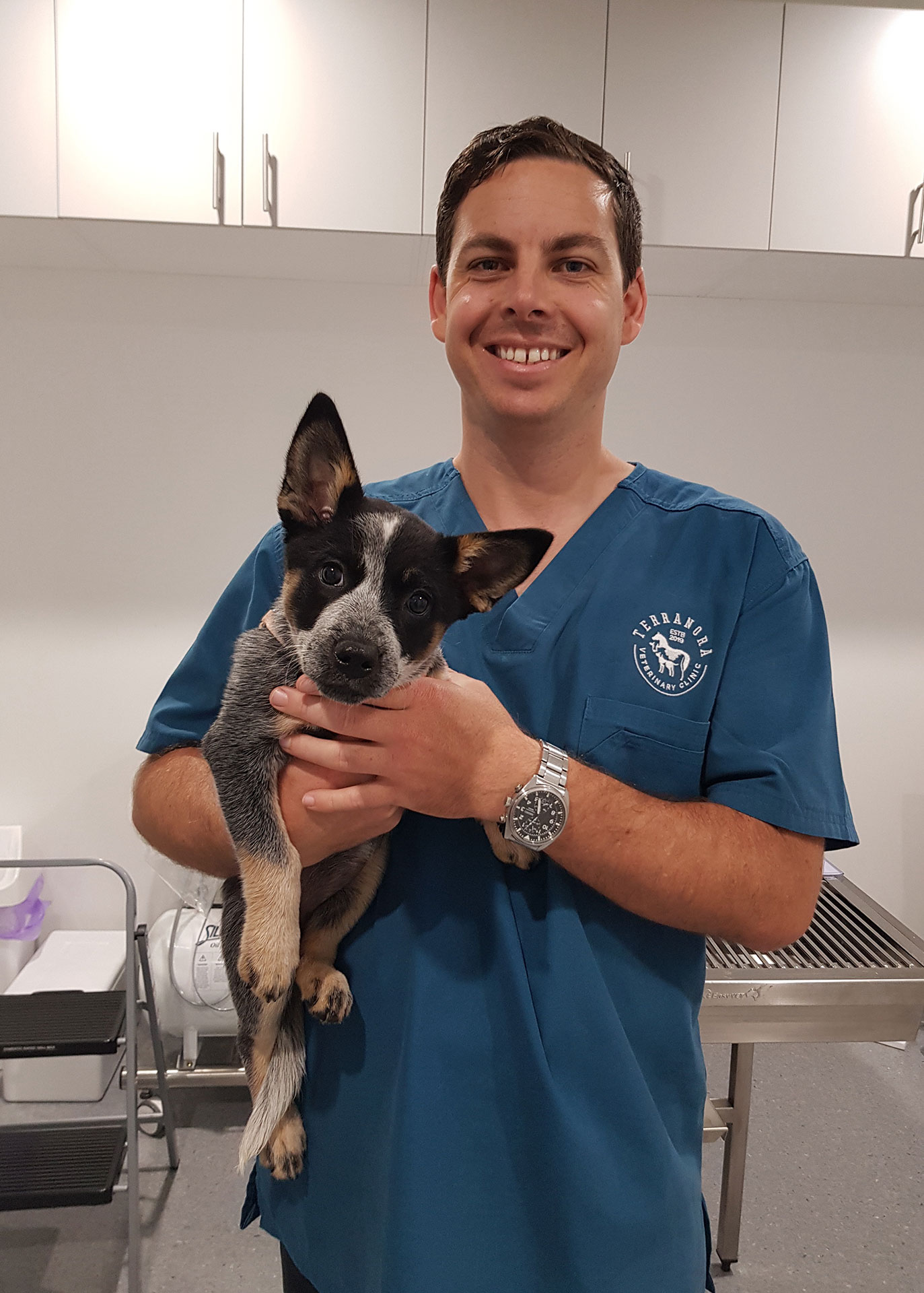 Terranora Vet Clinic - Specialist Referrals Terranora Vet Clinic - Specialist Referrals