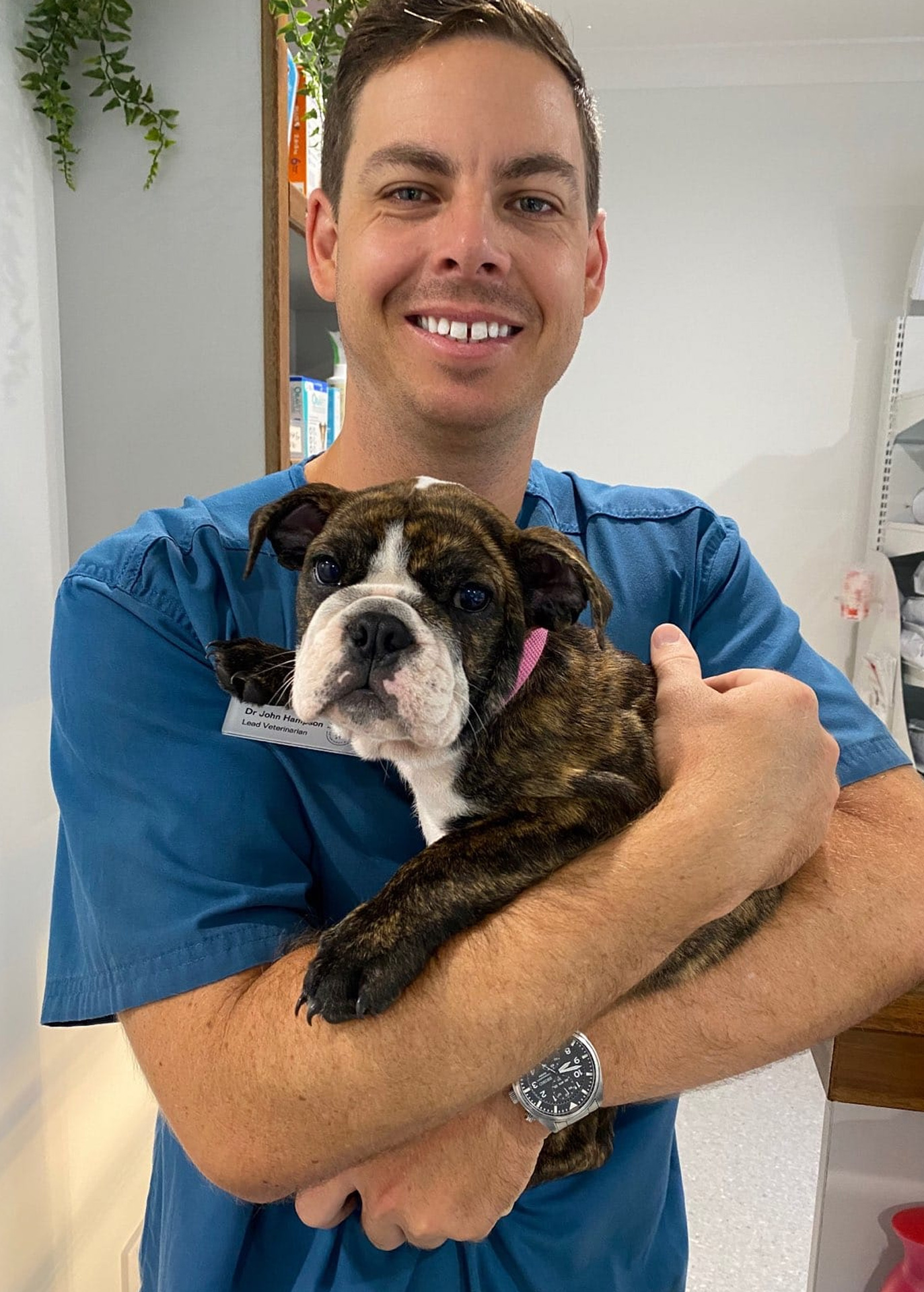 Terranora Vet Clinic - Poisons Information Terranora Vet Clinic - Poisons Information