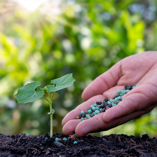 Fertilisers