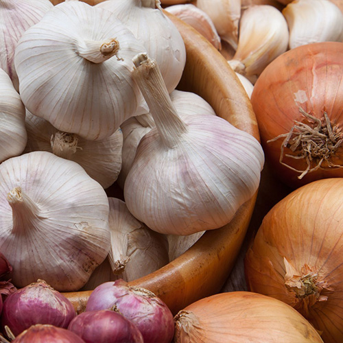 Onions, Garlic, and Chives