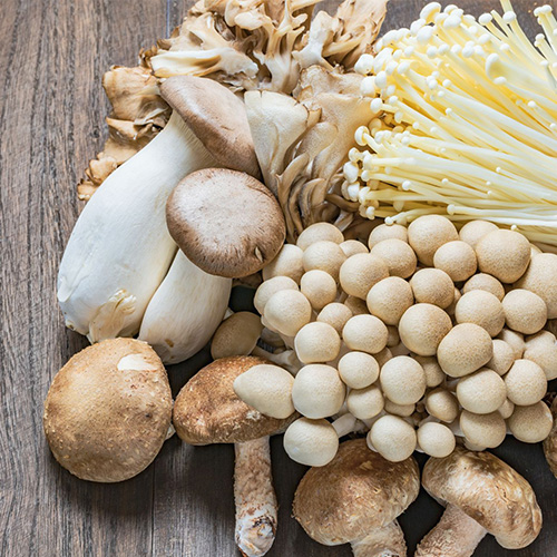 Poisons Information - Mushrooms