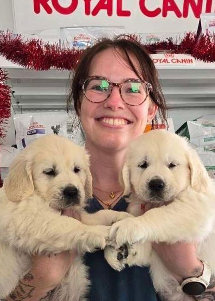 Terranora Vet - Meet Our Team - Brittany Terranora Vet - Meet Our Team - Brittany