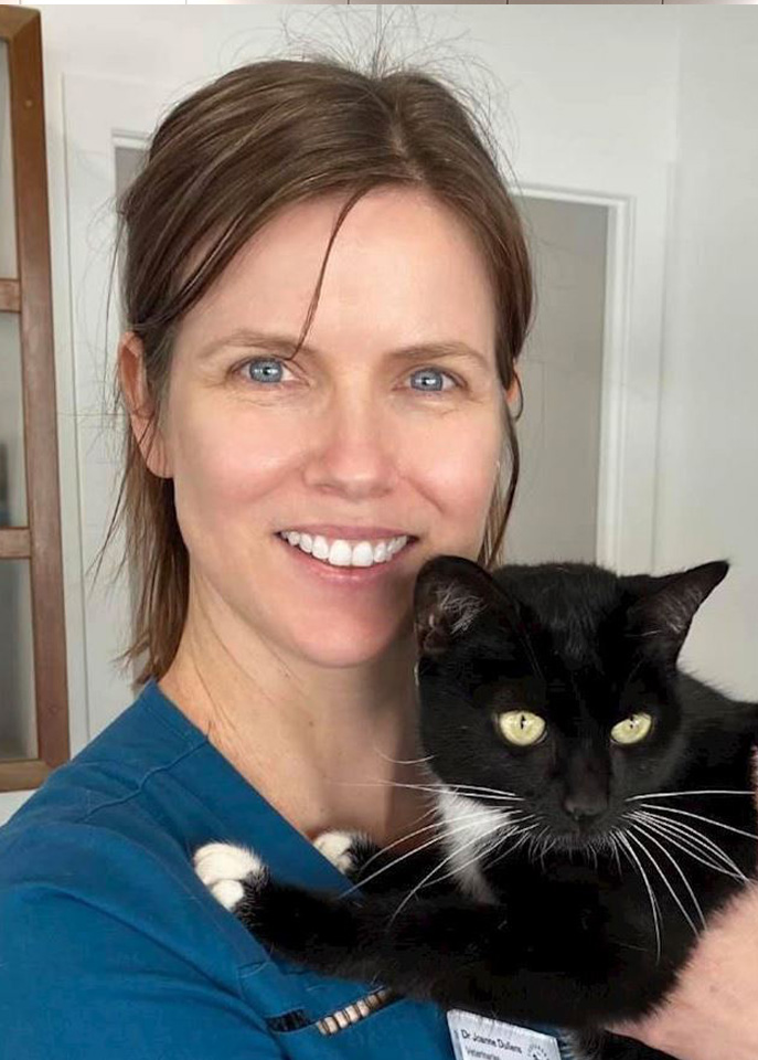 Terranora Vet - Meet Our Team - Dr Joanne Dullens Terranora Vet - Meet Our Team - Dr Joanne Dullens