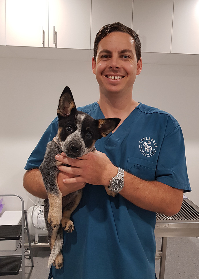 Terranora Vet - Meet Our Team - Dr John Hampson Terranora Vet - Meet Our Team - Dr John Hampson