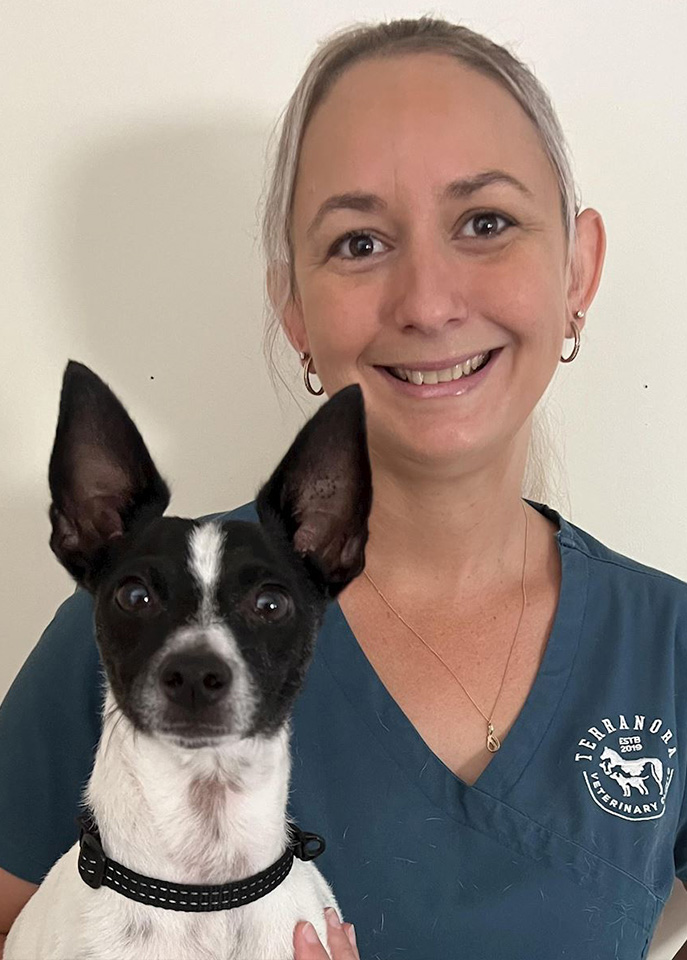 Terranora Vet - Meet Our Team - Phoebe Terranora Vet - Meet Our Team - Phoebe