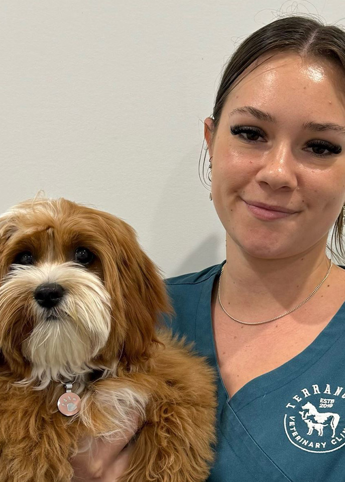 Terranora Vet - Meet Our Team - Tayla Terranora Vet - Meet Our Team - Tayla